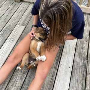 Meet your Posher, Marley